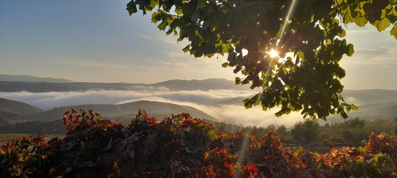 Quinta Alto Da Fraga Βίλα Vila Nova de Fozcoa Εξωτερικό φωτογραφία