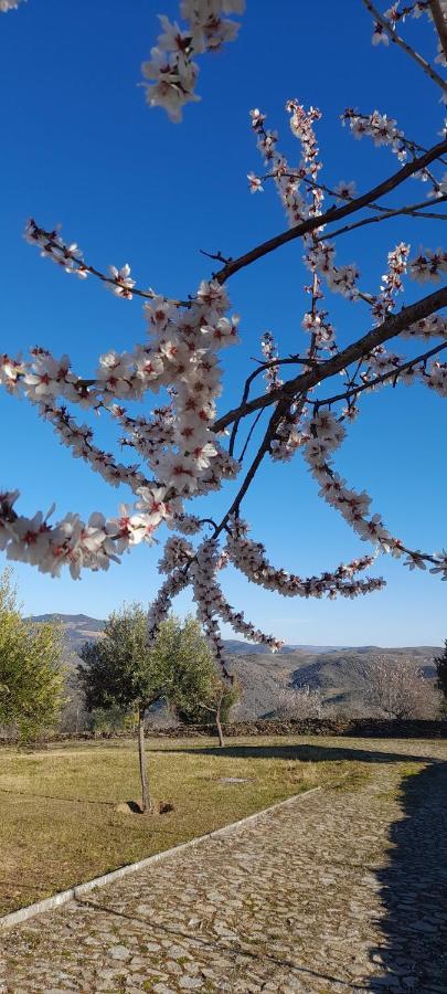 Quinta Alto Da Fraga Βίλα Vila Nova de Fozcoa Εξωτερικό φωτογραφία