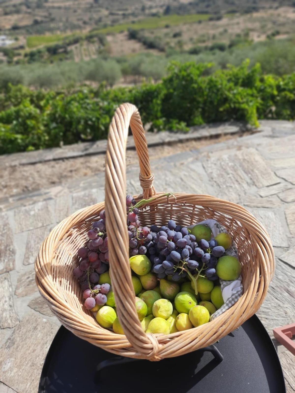 Quinta Alto Da Fraga Βίλα Vila Nova de Fozcoa Εξωτερικό φωτογραφία